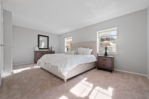 Contemporary Bedroom